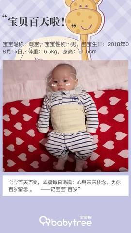 journal_insert_pic_1131489674