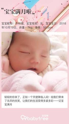 journal_insert_pic_1131678945