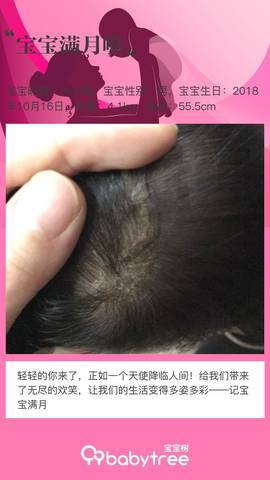 journal_insert_pic_1131844005