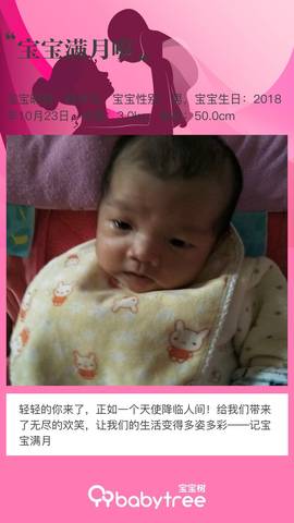 journal_insert_pic_1132698370