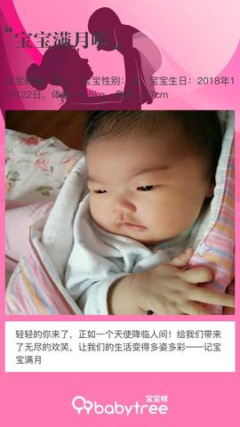 journal_insert_pic_1134172457
