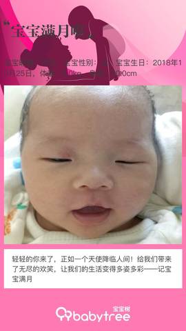 journal_insert_pic_1134768153