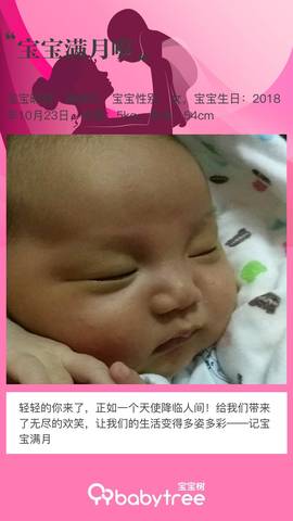 journal_insert_pic_1136594324