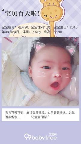 journal_insert_pic_1137320306