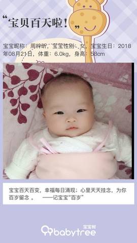 journal_insert_pic_1138336415