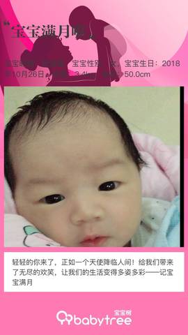 journal_insert_pic_1137955896
