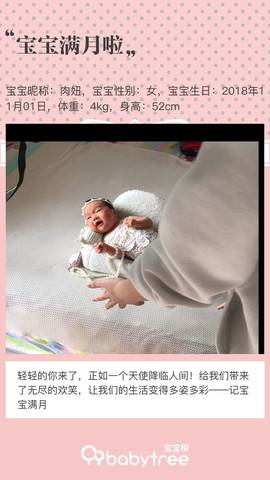 journal_insert_pic_1138983805