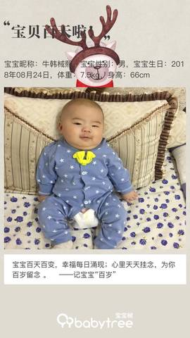 journal_insert_pic_1139105866