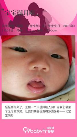 journal_insert_pic_1139211960