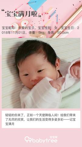 journal_insert_pic_1138727080