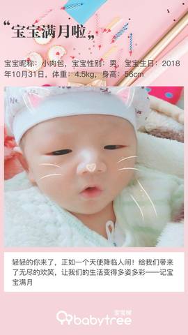 journal_insert_pic_1138674433