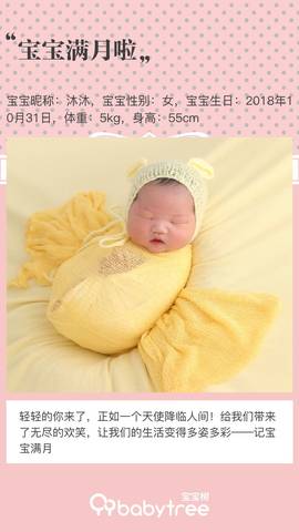 journal_insert_pic_1139184605
