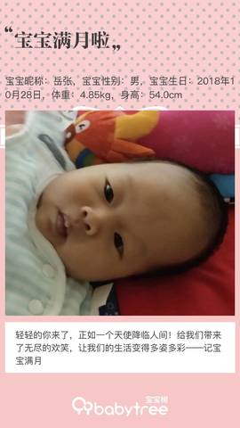 journal_insert_pic_1139378508