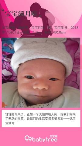 journal_insert_pic_1139495158