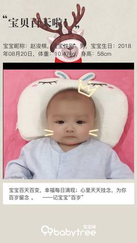 journal_insert_pic_1139431133