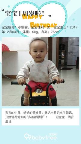 journal_insert_pic_1141180136