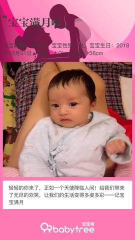 journal_insert_pic_1142411916