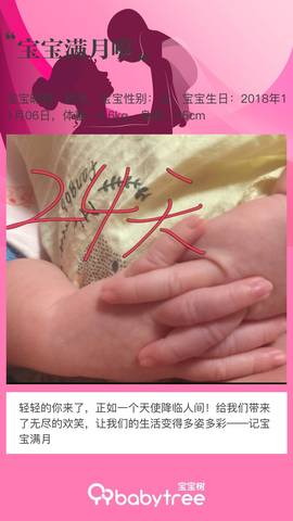 journal_insert_pic_1143574456