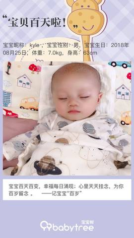 journal_insert_pic_1144152742