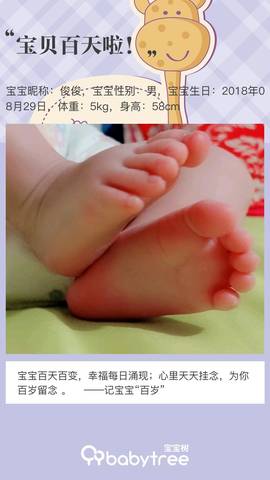 journal_insert_pic_1144760696