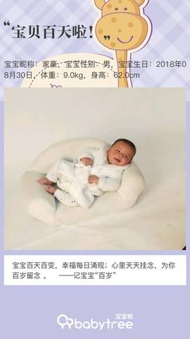 journal_insert_pic_1145058231