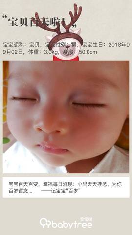 journal_insert_pic_1145409596
