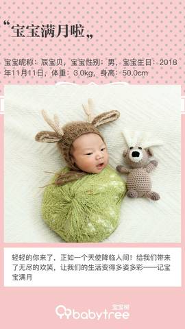 journal_insert_pic_1145469672