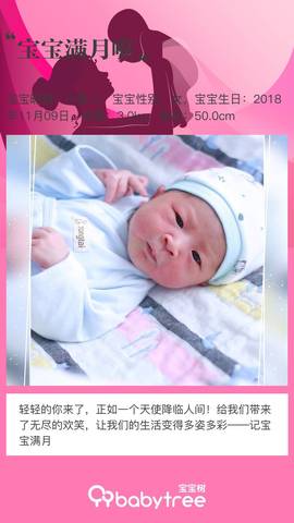 journal_insert_pic_1147383006