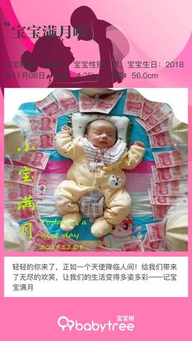 journal_insert_pic_1147165503