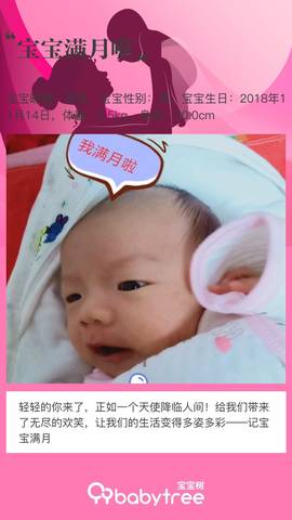 journal_insert_pic_1147800813