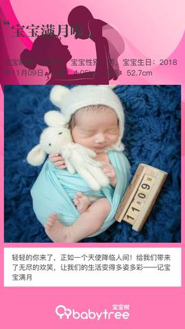 journal_insert_pic_1147537135