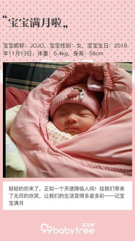 journal_insert_pic_1148159020