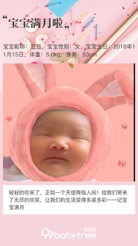 journal_insert_pic_1147971169