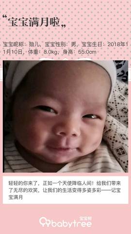 journal_insert_pic_1147975341