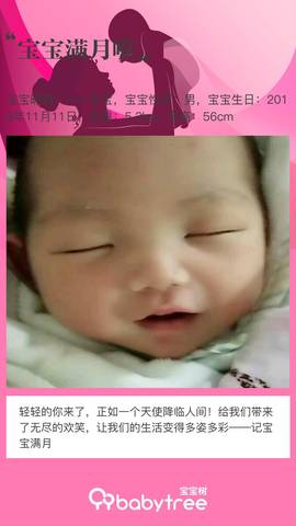 journal_insert_pic_1148684118