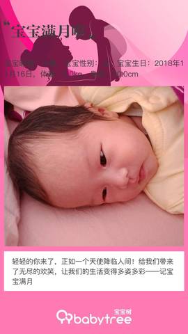 journal_insert_pic_1149888874