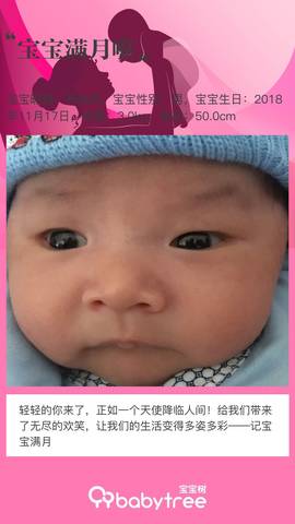 journal_insert_pic_1149794764