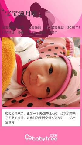 journal_insert_pic_1149880065