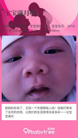 journal_insert_pic_1149652876