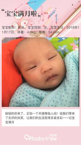 journal_insert_pic_1150505895