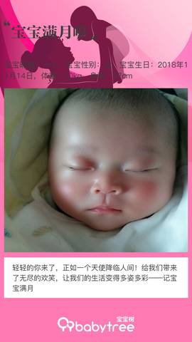 journal_insert_pic_1150534767