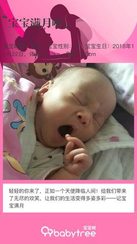 journal_insert_pic_1151346832