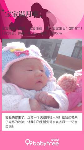 journal_insert_pic_1151230739