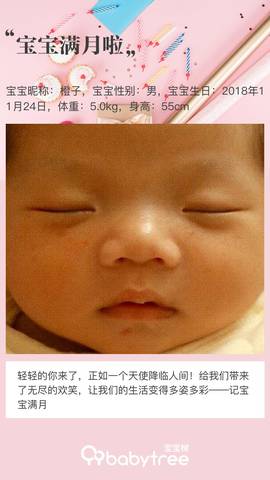 journal_insert_pic_1151690760