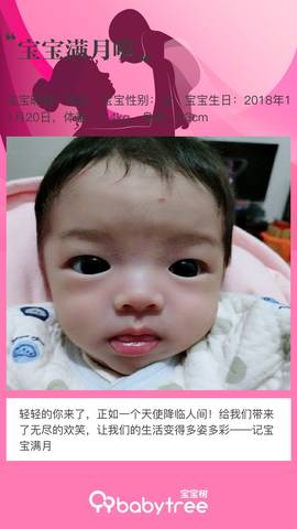 journal_insert_pic_1152422645