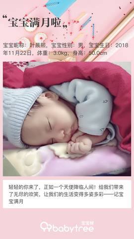 journal_insert_pic_1152701102