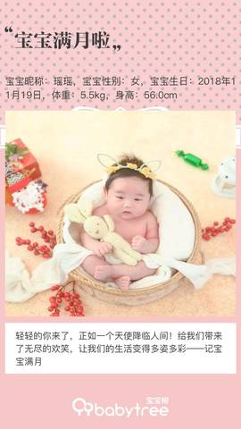journal_insert_pic_1152407433