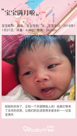 journal_insert_pic_1153096222