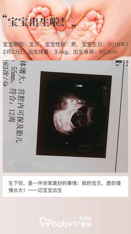 journal_insert_pic_1152949899