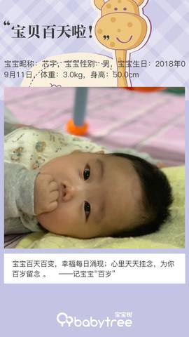 journal_insert_pic_1152982225